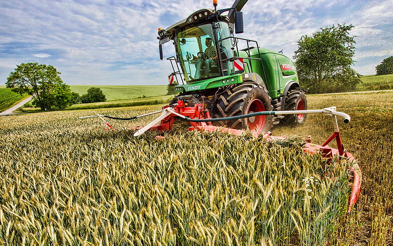 Fendt Katana, wheat harvesting, 2020 combines, EU-spec, combine, combine-harvester, agricultural machinery, Fendt, HD wallpaper