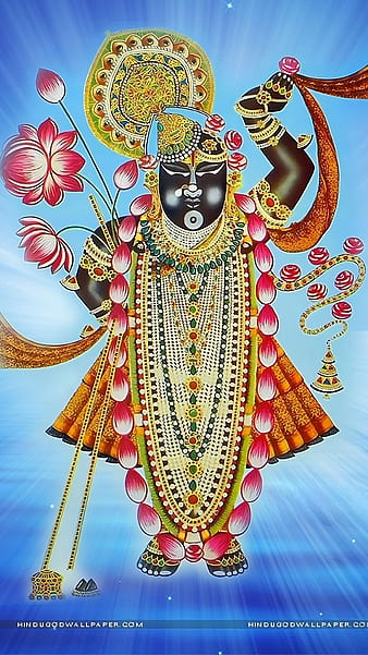 God Shrinath Wallpaper | Hamare Sant