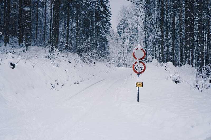 road, snow, winter, pointer, forest, HD wallpaper
