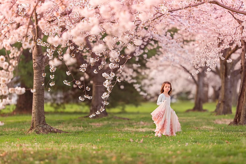 Spring, tree, dress, green, little girl, garden, child, pink, HD wallpaper