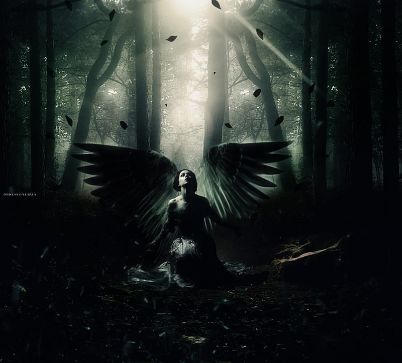 Angel, art, female, wings, trees, woman, dark, digitalart, lady, light ...