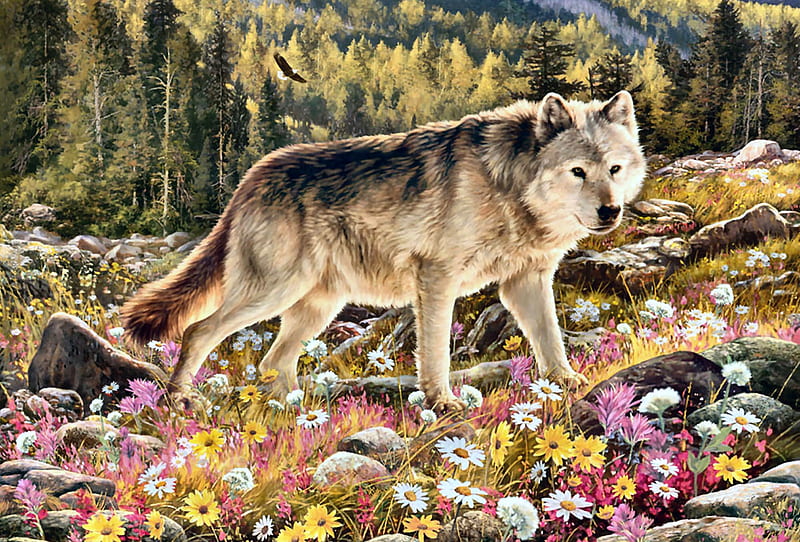 Lone Wolf F, lobo, art, bonito, artwork, canine, animal, painting, wide screen, wildlife, flowers, wolf, HD wallpaper