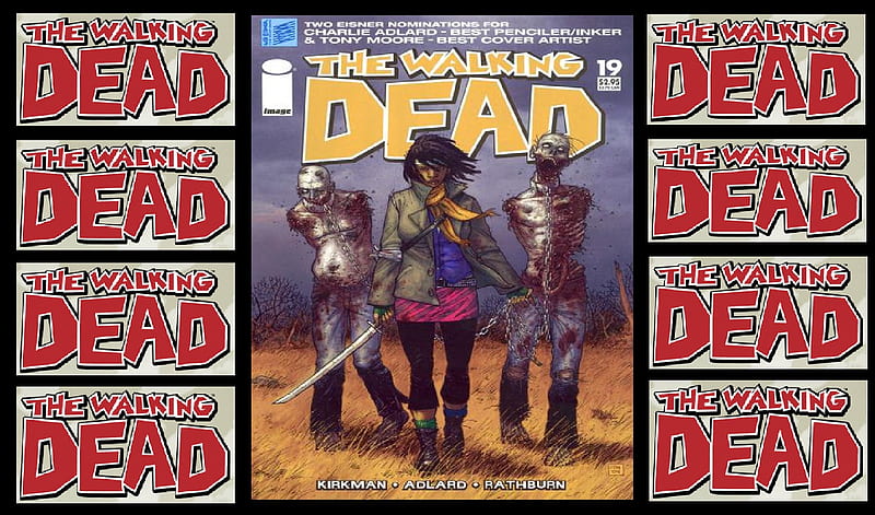 THE WALKING DEAD #19, zombies, michonne, the walking dead, the walking dead comic, sword, HD wallpaper