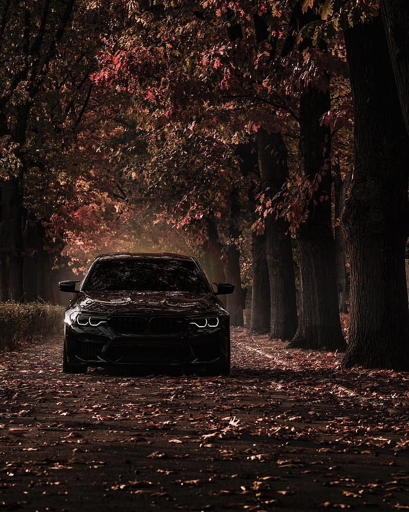 BMW M5 ZEDSLY, carros, HD phone wallpaper