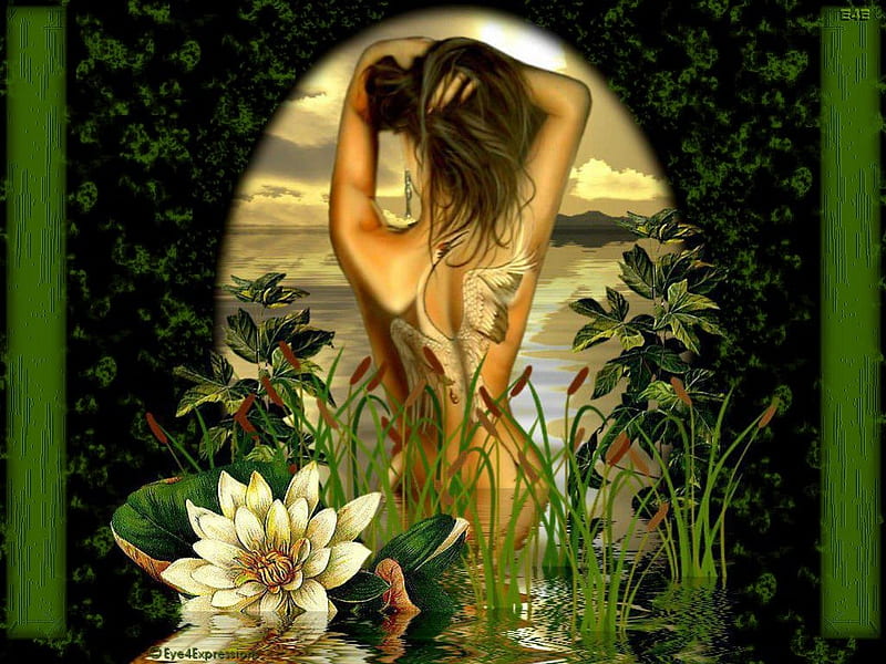 Body Beautiful, pond, waterlily, frame, bird tattoo, lady, HD wallpaper