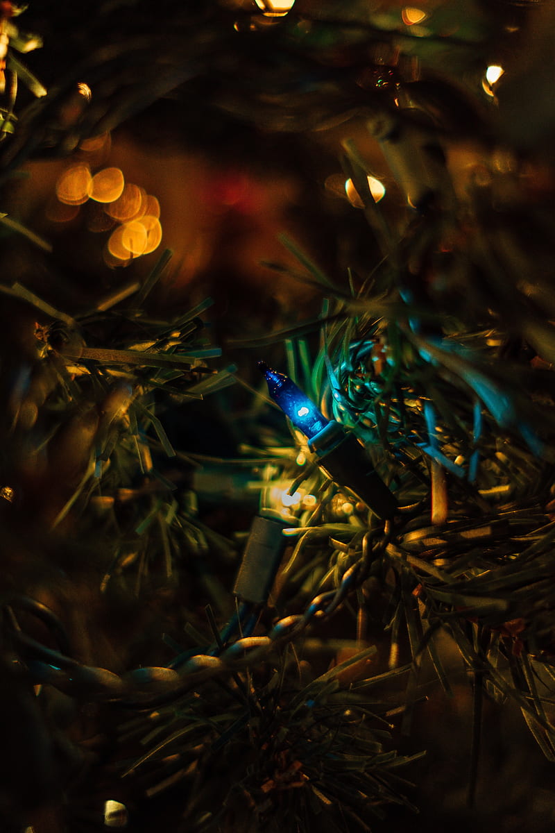 garland, tree, christmas, new year, glare, bokeh, HD phone wallpaper