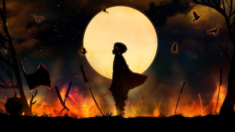 Demon Slayer Tanjiro Kamado Around Stabbing Swords With Background Of Full Moon And Dark Night Anime, HD wallpaper