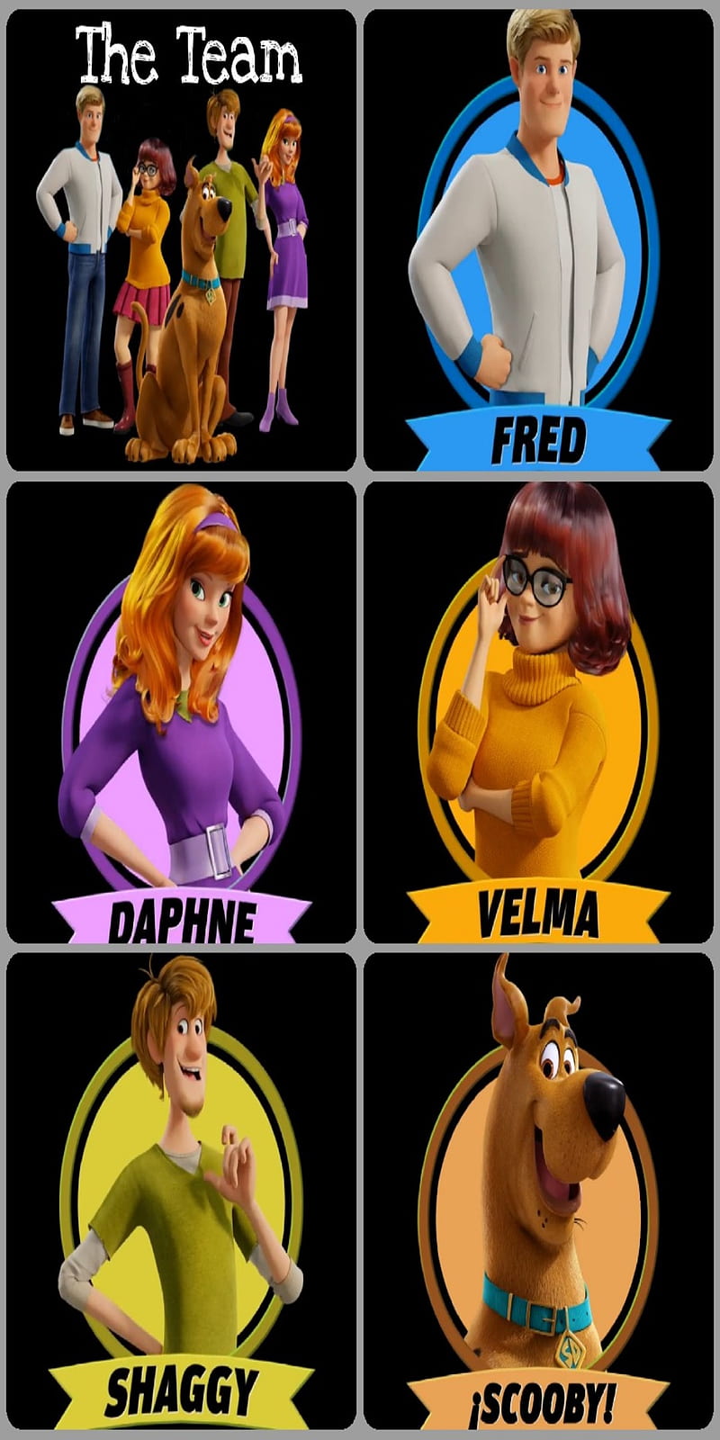 Scooby Doo, cartoon, scooby-doo, team, HD phone wallpaper | Peakpx