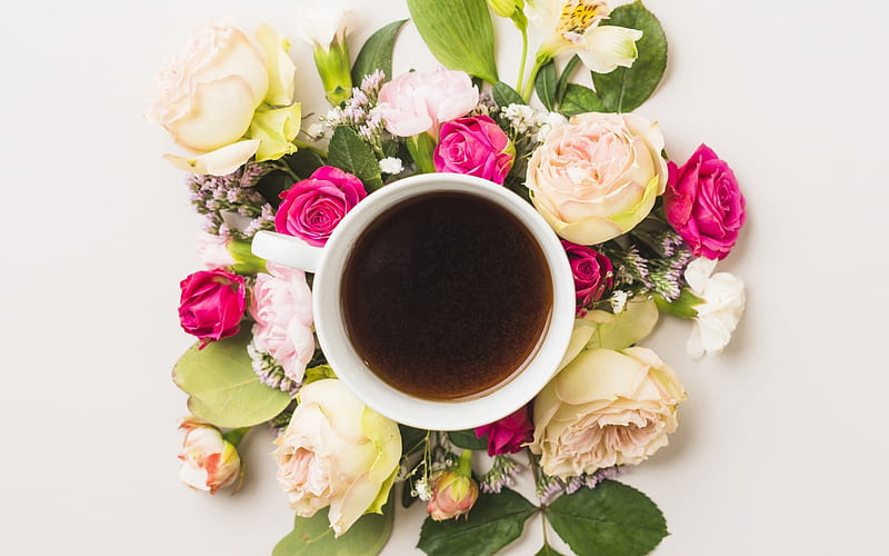 Good Morning!, rose, tea, card, coffee, flower, cup, morning, white, pink, HD wallpaper
