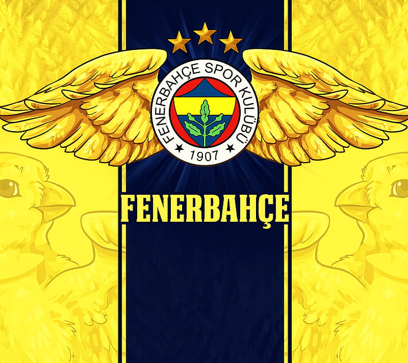 Fenerbahce, kanarya, leader, sport, team, turkey, HD wallpaper