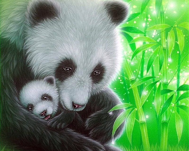 Love and Warmth, drop, love four seasons, cuddle, giant pandas, spring, attractions in dreams, bamboo, warmth, hugs, love, beloved valentines, animals, HD wallpaper