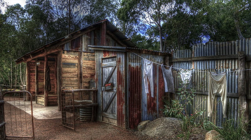 wood and tin hut r, fence, hut, bathroom, r, tin, trees, HD wallpaper