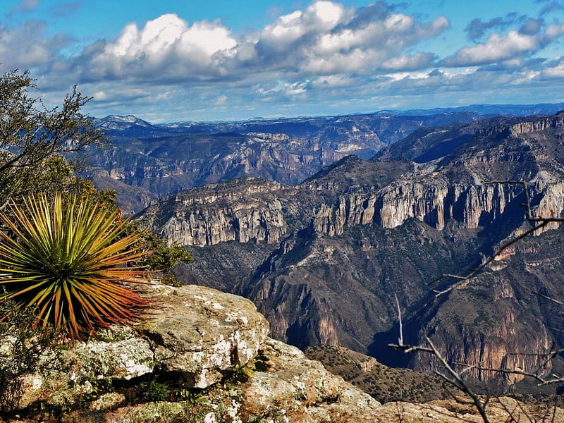 Copper Canyon, Sierra Madre Occidental, rocks, desert, stones, plants, waterfall, clouds, landscape, HD wallpaper