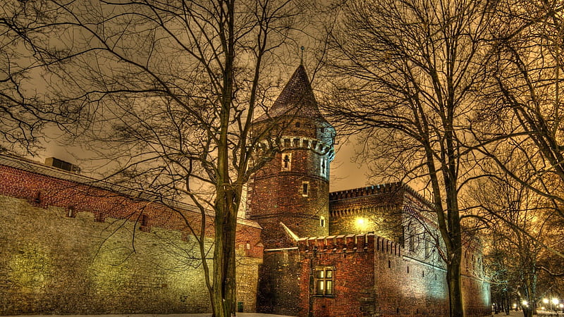 a fortress in poland on a winter night, tower, fortress, trees, wall, lights, night, winter, HD wallpaper