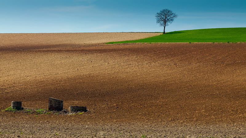 arable fields on a hill, tree, hut, fields, arable, HD wallpaper