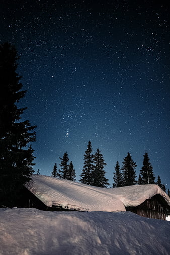 Winter Night Snow  Free photo on Pixabay  Pixabay