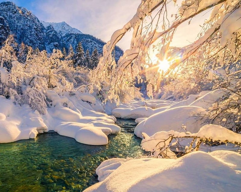 Winter, o, iarna, minunata, frumoasa, HD wallpaper