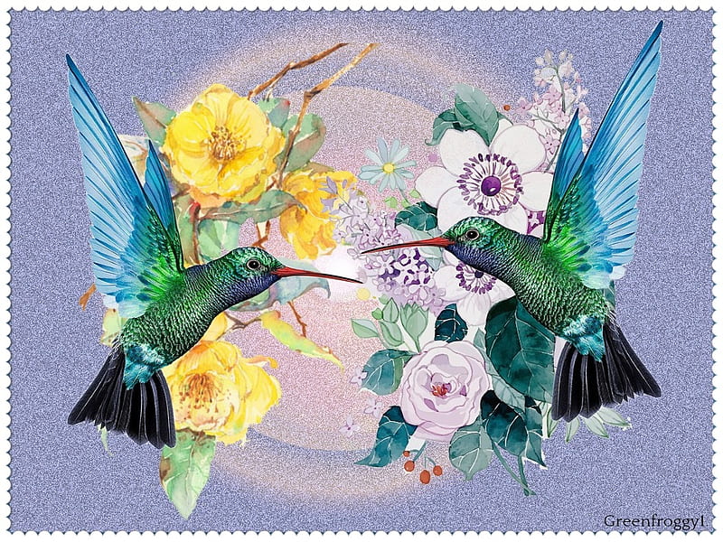 hummingbird wallpaper abstract