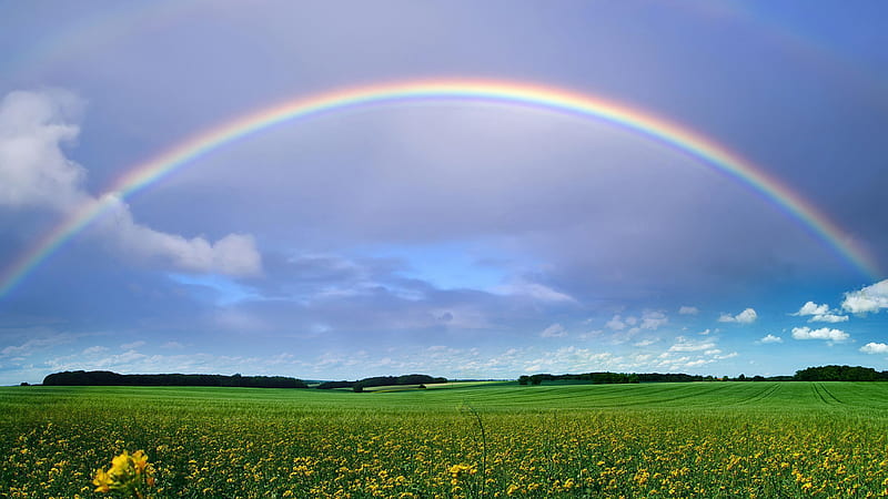 Green Grass Field With Flowers Under Rainbow And Blue Sky With Clouds Nature, HD wallpaper