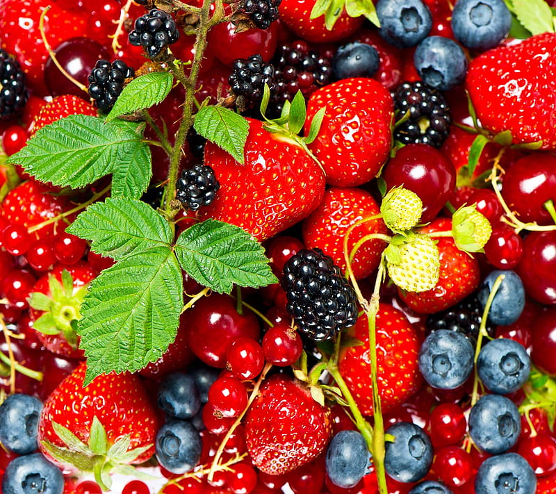 Berry Fruits, good, look, HD wallpaper