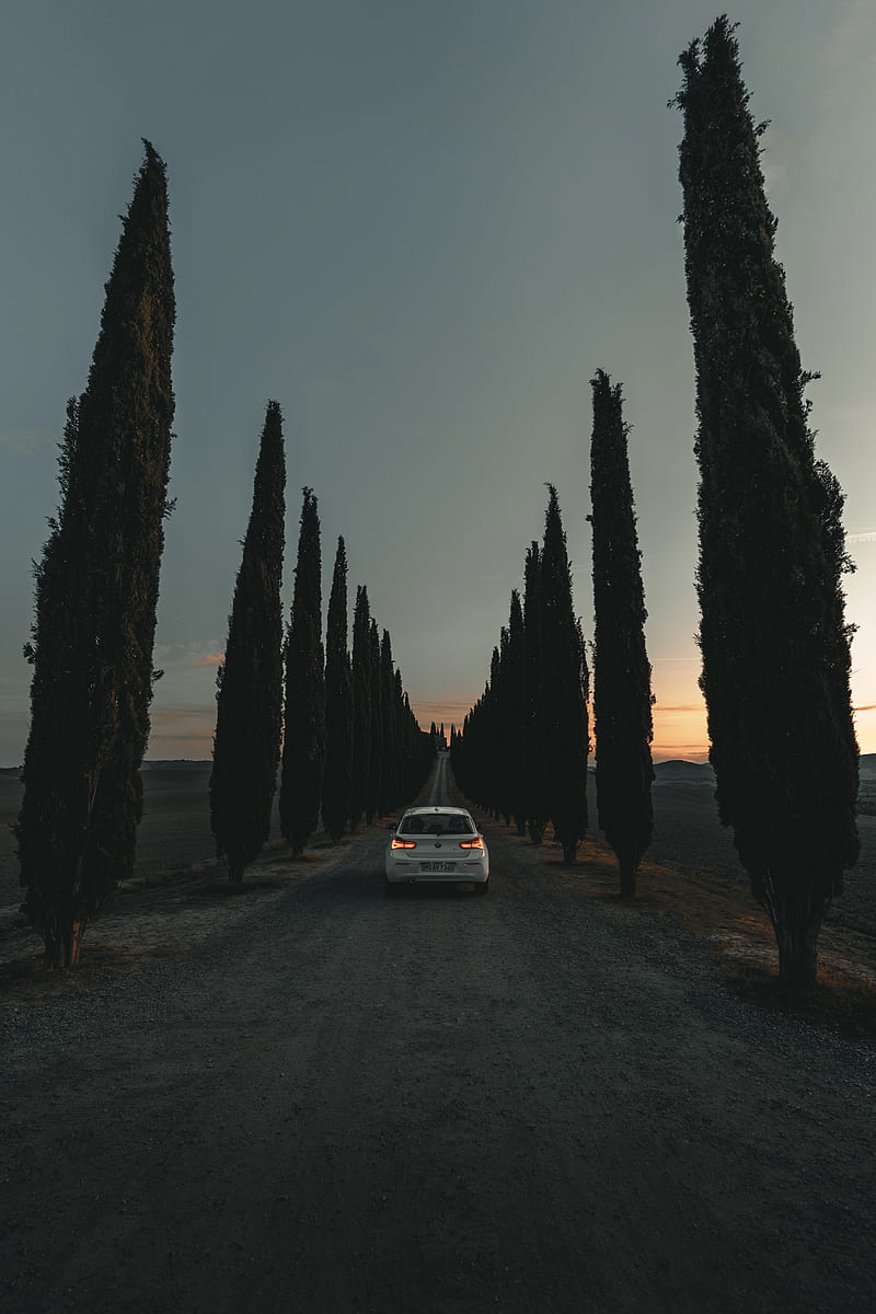 car, road, trees, alley, twilight, HD phone wallpaper