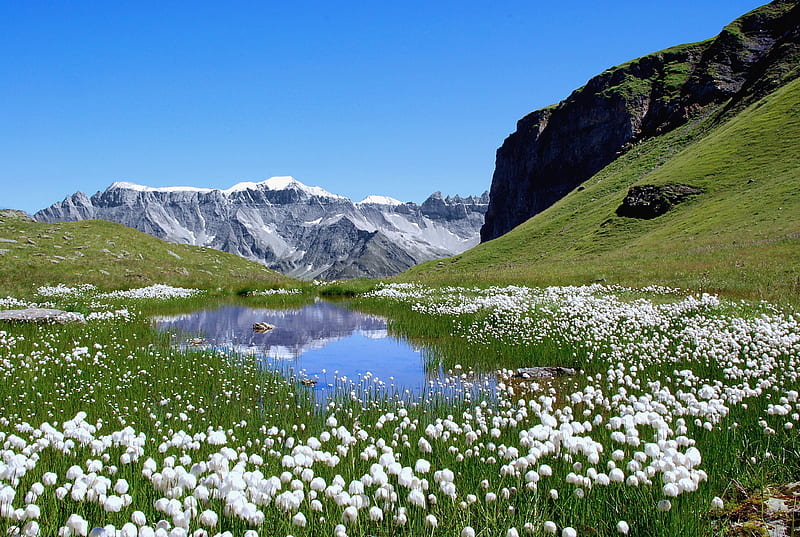 Chüebodensee lake in Swiss Alps, mountain, nature, river, fun, HD wallpaper