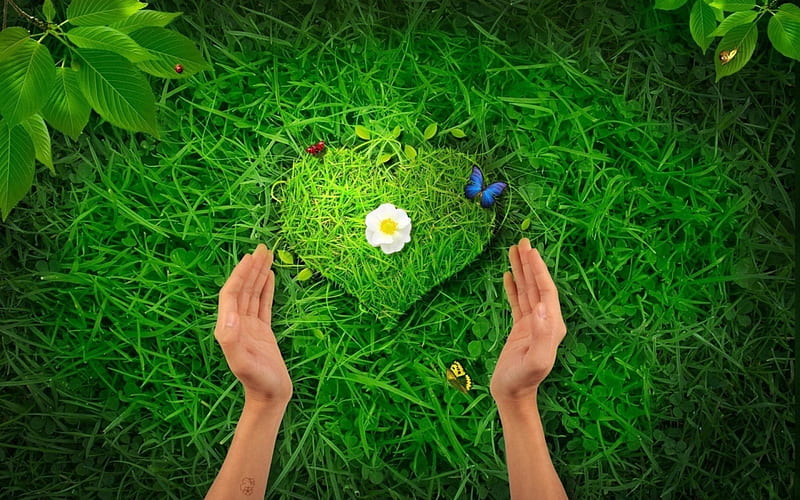~Love Grass~, nature, green, grass, love, HD wallpaper ~Love Grass~, nature, green, grass, love, HD wallpaper