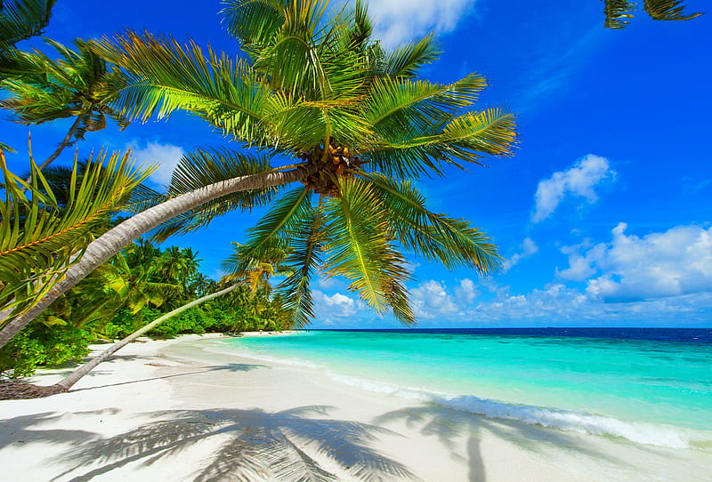Tropical paradise, breeze, bonito, sea, beach, horizons, tropics, rest, vacation, exotic, lovely, Maldives, ocean, sky, palms, paradise, summer, sands, HD wallpaper