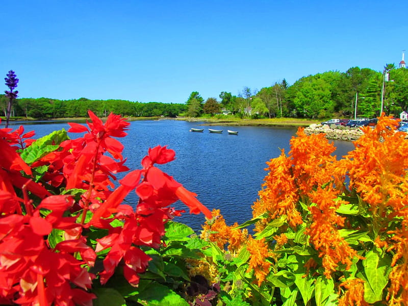 Kennebunk, rest, shore, place, bonito, Meine, sky, picnic, United states, pond, boats, summer, l ake, flowers, river, HD wallpaper