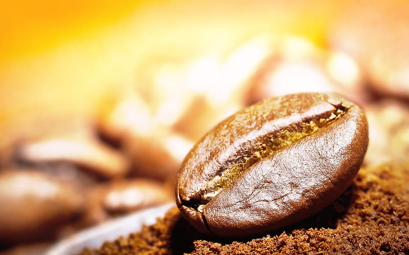 coffee beans, close-up, coffee, roasted Coffee grains, HD wallpaper