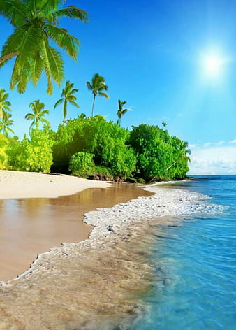 Island iphone, tropical, beach, flowers, paradise, landscape, HD phone  wallpaper | Peakpx