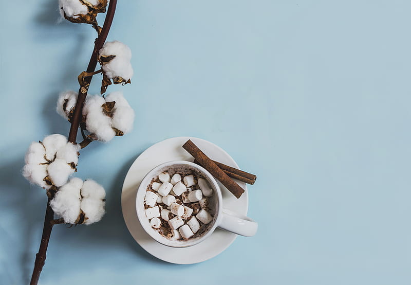 white ceramic mug filled with marshmallows beside cinnamon sticks placed on round white ceramic saucer near white cuttons, HD wallpaper