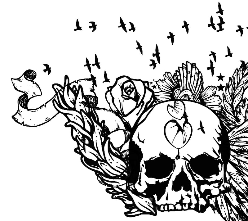 skully, abstract, bird, cute, emo, goth, pinup, skull, white, HD wallpaper