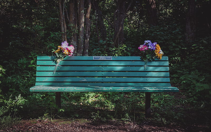 green wooden bench and flowers at daytime, HD wallpaper