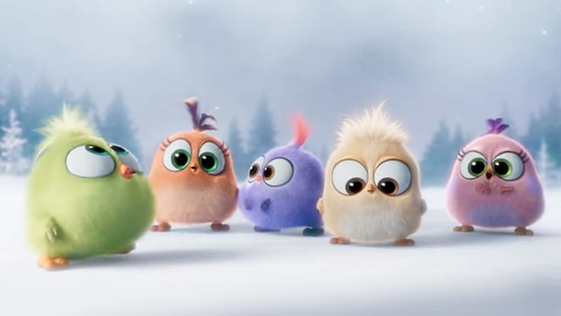 The Hatchlings, cute, movie, hatchlings, Angry Birds, Firefox Persona theme, HD wallpaper