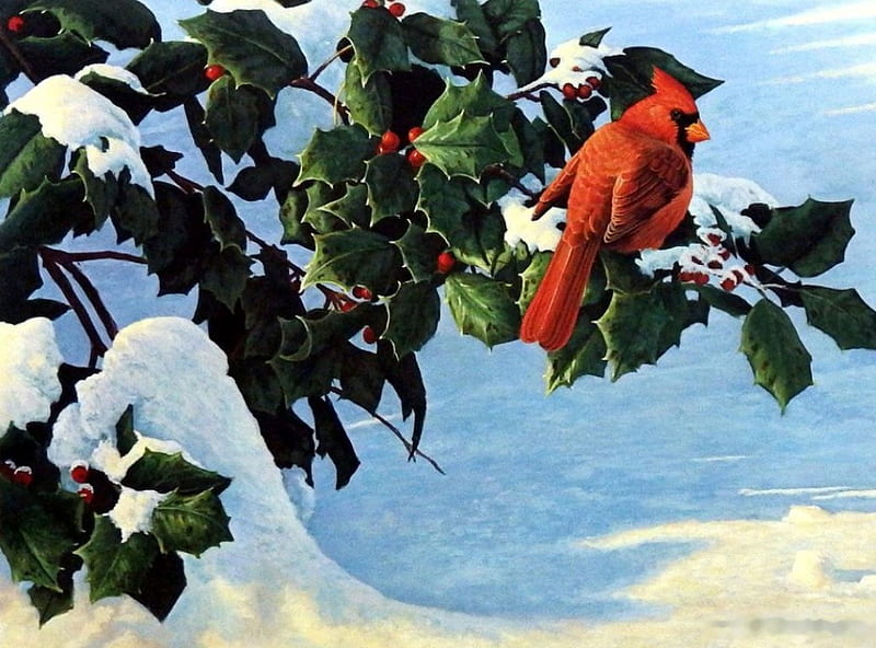 Winter Cardinal, bird, berries, snow, painting, twig, artwork, HD wallpaper