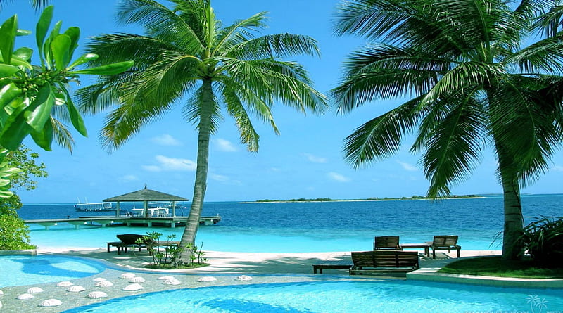 Paradise Beach Resort in the Maldives, resort, maldives, oceans, beaches, nature, palms, HD wallpaper