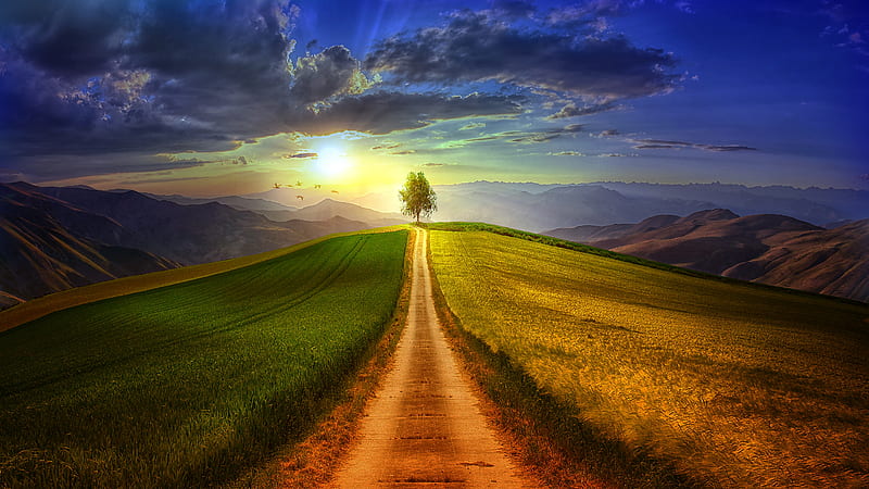lonely tree, path, clouds, sky, Landscape, HD wallpaper