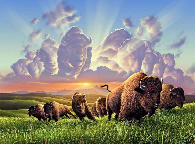 Stampede, grass, herd, prairie, clouds, artwork, HD wallpaper