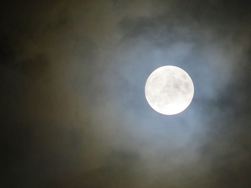 Shrouded in Mystery, nature, moon, space, november, HD wallpaper