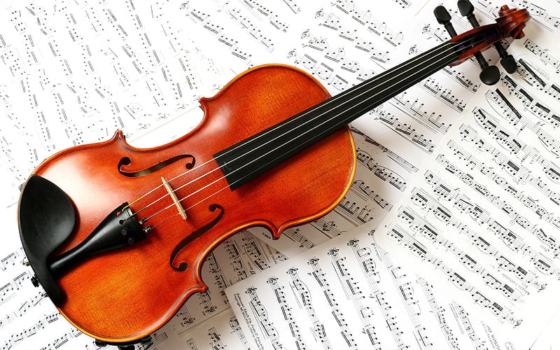 violin and notes-Music, HD wallpaper