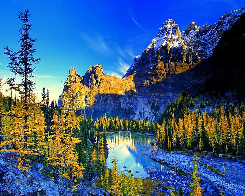 Nature Mountain, bonito, cute, look, nice, HD wallpaper | Peakpx