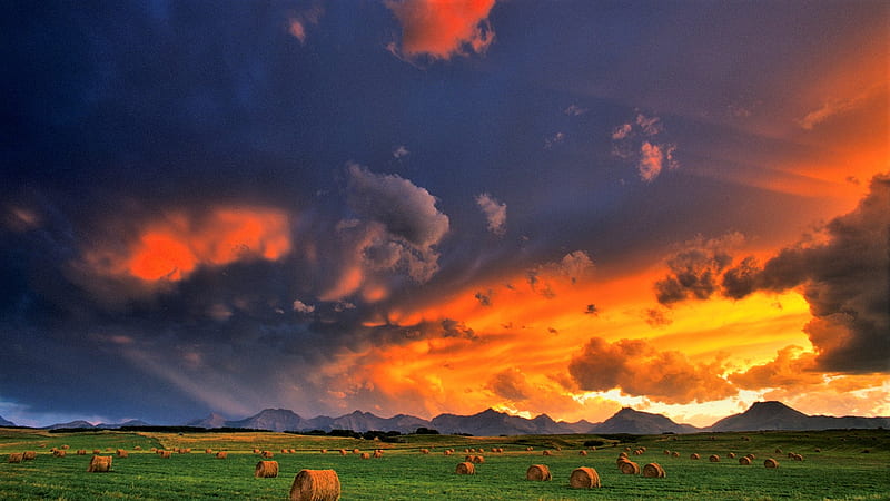 cultivated land, hay bales, Alberta, sky, Canada, HD wallpaper