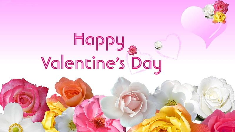 Happy Valentine's Day, Valentines, Happy Valentines Day, Valentines Day,  flowers, HD wallpaper | Peakpx