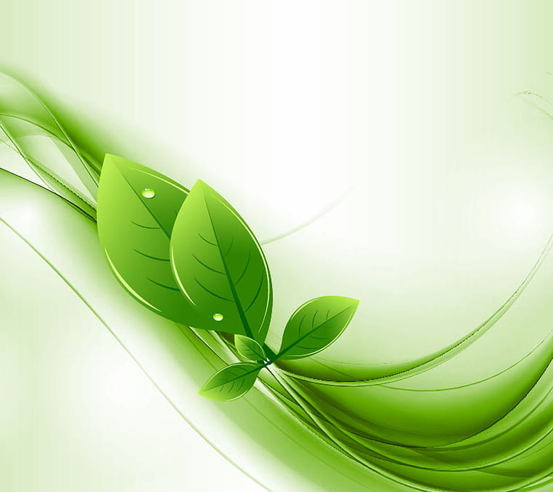 Green Leaf, HD wallpaper | Peakpx