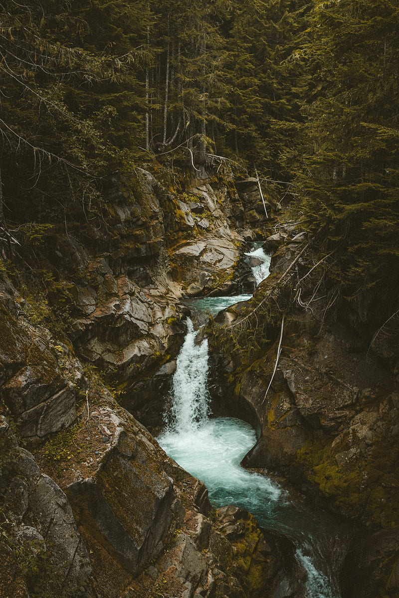 waterfall, stones, stream, branches, trees, HD phone wallpaper