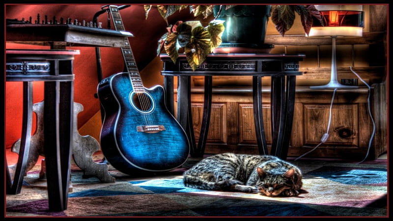 Bức hình với chú mèo dễ thương ngồi bên chiếc guitar trong căn phòng nhỏ sẽ mang lại cho bạn cảm giác thoải mái và ấm áp, nơi mà âm nhạc và tình yêu động vật hoà quyện với nhau.