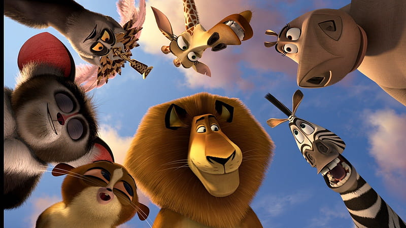Madagascar, marty, movie, CG, zebra, lion, alen, HD wallpaper | Peakpx