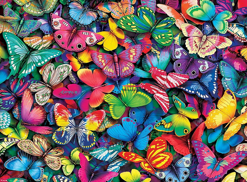 Butterflies, skin, butterfly, texture, colorful, vara, summer, HD wallpaper