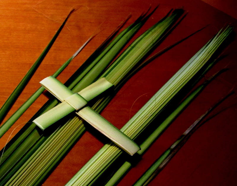 Palm Sunday, green, easter, cross, palms, Jesus, HD wallpaper